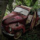 현대자동차해체재활용산업 | 폐차장 현대자동차해체재활용산업 옥천 옥천읍 가격 후기