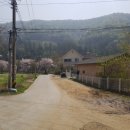 싸이드조경