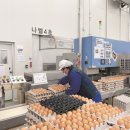 김종찬농장 이미지