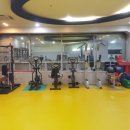 엠핏유도관 이미지