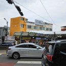 속초88수산 이미지