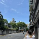 896 | 스쿠트 항공 대만 타오위안 - 인천 TR896 체크인 터미널 좌석 후기