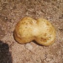 장동농장 이미지