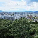 대구광역시달서구보건소 이미지