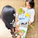 자연발도르프유치원 | 대구 숲유치원을 고민중이라면? 발도르프 숲놀이 체험 후기