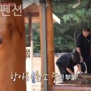 돌멩이 펜션 이미지