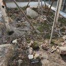 빵 아저씨 빵 아줌마 | [경기도/수원] 호매실 대형 카페 칠보산 뷰! 슬로 칠보하우스