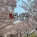벨라윤에스테틱 | 2024년 4월 일상ღ (0401~0430)