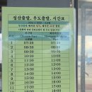 초원게스트 | [우도 전동차렌트] 배시간, 가성비 렌트, 내돈내산 종일권 솔직후기