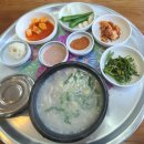 월영동241 | 밀양돼지국밥 - 마산월영동 경남대 돼지국밥 내돈내산 솔직후기