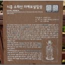 늠내길3코스 옛길 이미지