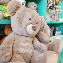 제주무릉도원집 | 용머리해안 산방산카페 제주 소품샵 아트왓 제주팝업스토어 방문 후기