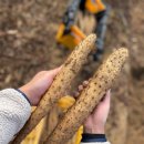 태형농장 이미지