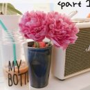 몸애, 끌림 이미지