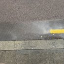 가야김밥and집밥 | [시드니 일상] 9,10월 일상 모음zip _뒷북일기