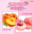 향긋한 🍑복숭아🍑 내 취향은? 딱복 vs 물복 이미지