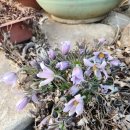 동강농장 이미지