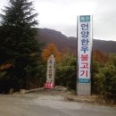 옥수가든 Daum카페