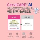 애플 산부인과 부산서면점