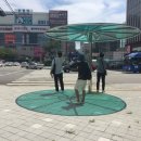 교통섬 이미지