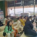블루밍청춘