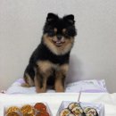 도요케이크 이미지