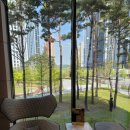 자연설렘 이미지