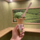 여행] 후쿠오카 4박5일 자유여행 2일차 (버스투어(디자이후/유후인/유후다케/벳푸)/멘야카네토라/나카스강)