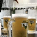 묘한다방