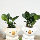 영전농장 이미지