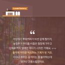 제인동물병원 이미지