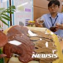 영지축산 이미지