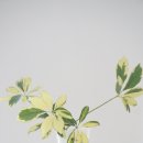 마천로15길 이미지