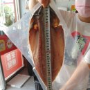 모여라포차 이미지