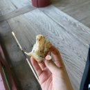 전남 구례 여행기 (지리산 노고단)