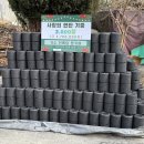미스터카페