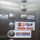 놀러오개 애견유치원 모충점 | [송파애견호텔] 애견 유치원 '놀러오개' 송파점 시간제 이용 후기