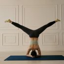 (주)루엔메디 이미지