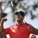 메이저독 이미지