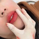 더디자인선 이미지