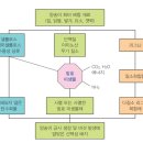 이원재 농장 | 양송이 잘 기르기위한 기본 사항