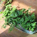 일공일(101) 이미지