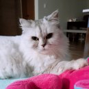 봉자빨래 이미지