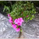 인천공촌초등학교 이미지