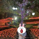 구라미농장 이미지