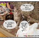 나린그루밍 이미지