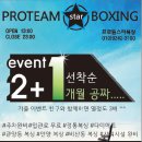 프로팀스타 복싱 이미지