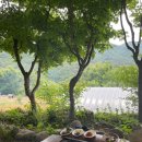 풀꽃하동