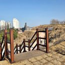 읍내8통 네이버블로그