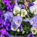 다온 공인중개사 이미지